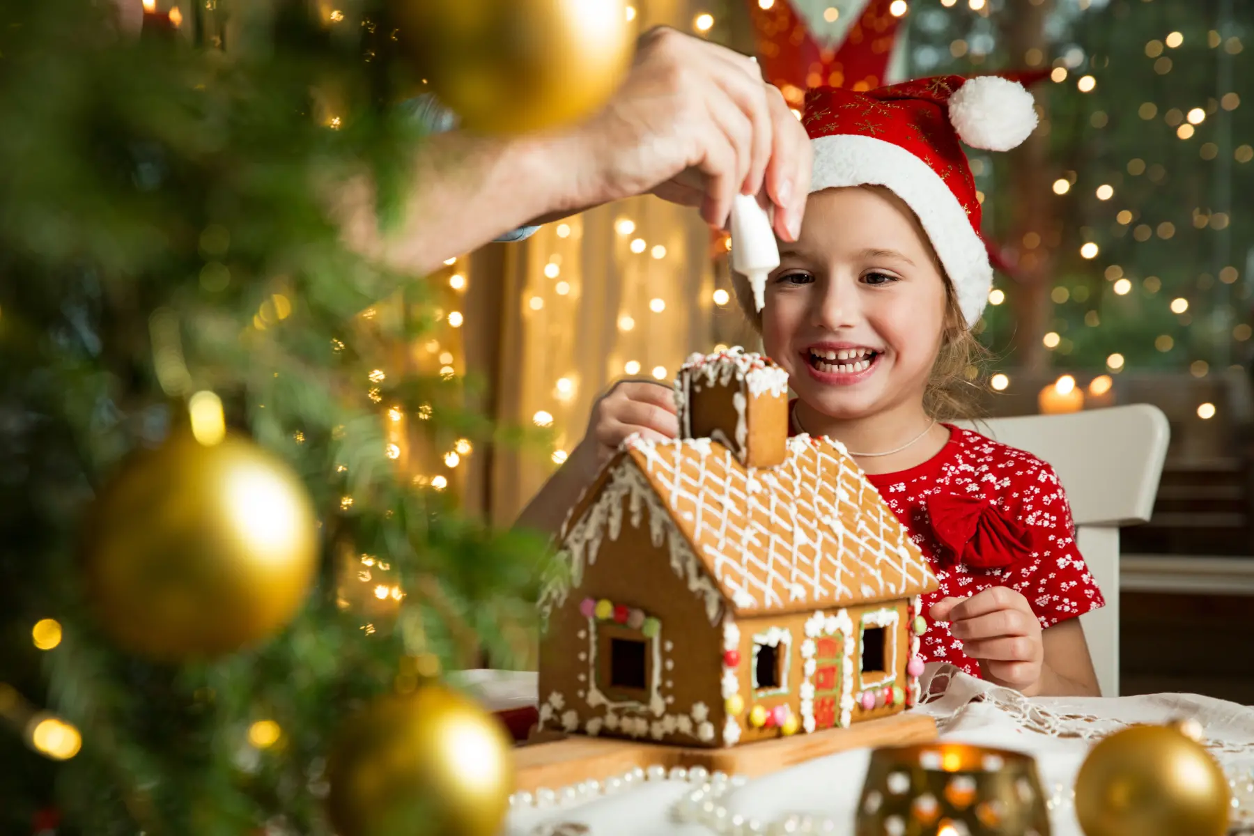 Gingerbread house and girl Vistera of Venice