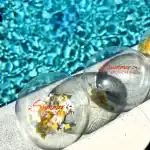 Beach balls in the pool